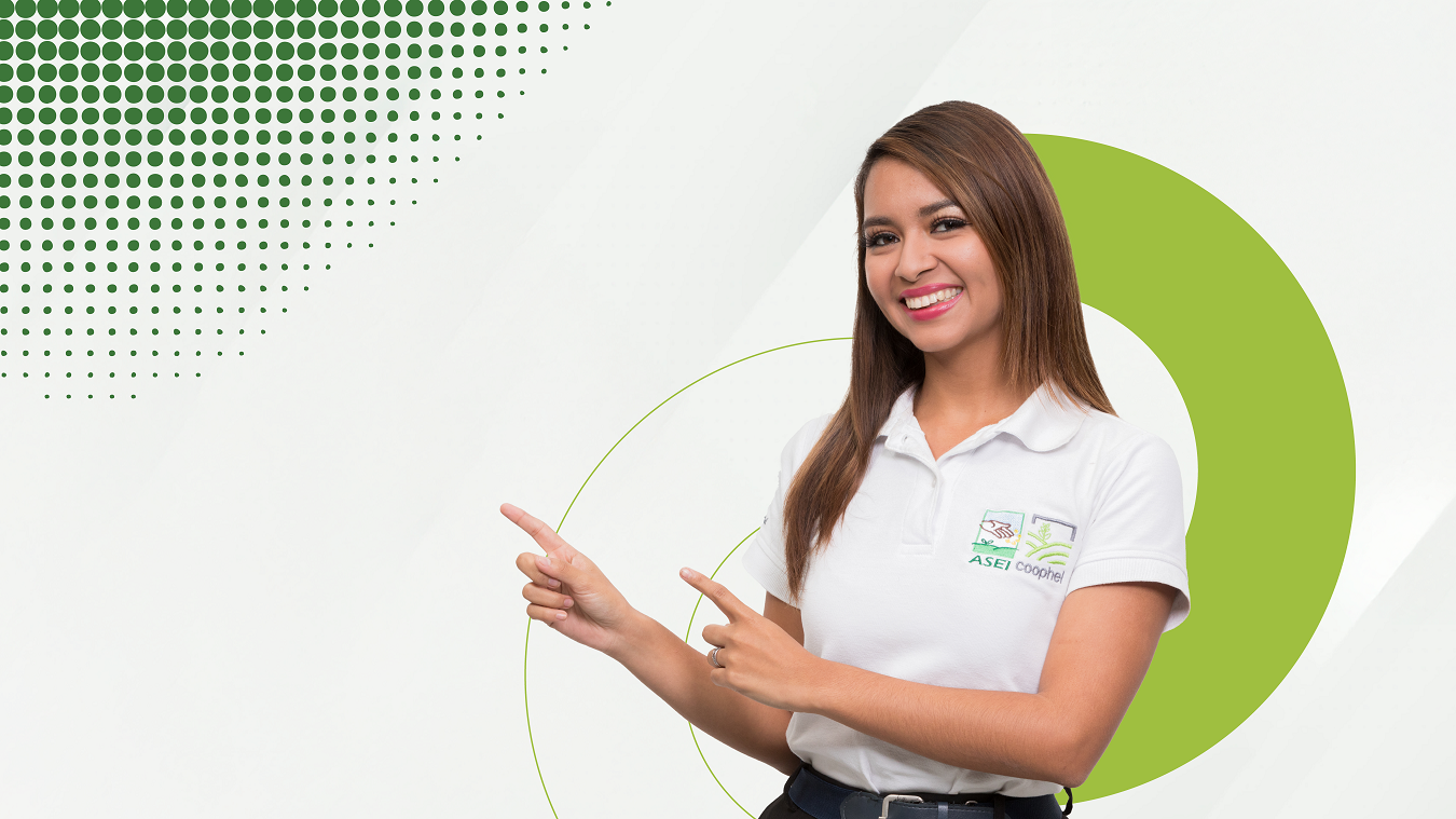 slideshow banner